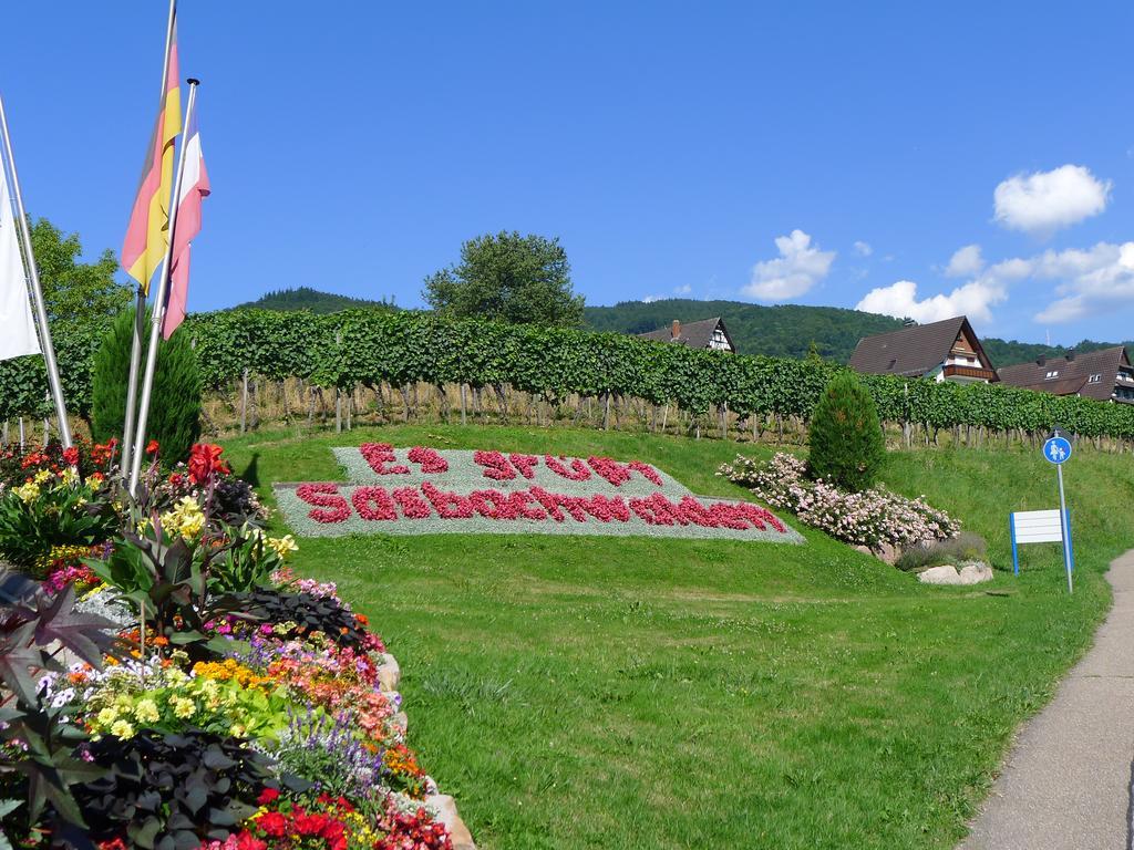 Landhaus Schoenen Sasbachwalden Exterior foto